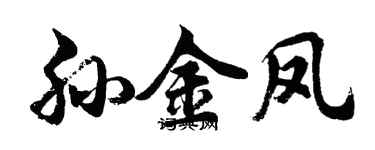 胡問遂孫金鳳行書個性簽名怎么寫