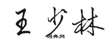 駱恆光王少林行書個性簽名怎么寫
