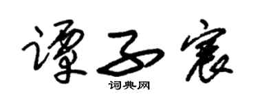 朱錫榮譚子宸草書個性簽名怎么寫