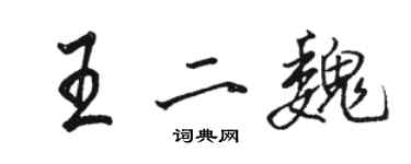 駱恆光王二魏行書個性簽名怎么寫