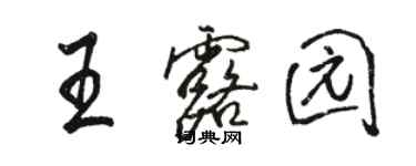 駱恆光王露園行書個性簽名怎么寫