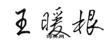 駱恆光王暖根行書個性簽名怎么寫