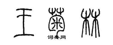 陳墨王菊林篆書個性簽名怎么寫