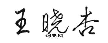 駱恆光王曉杏行書個性簽名怎么寫