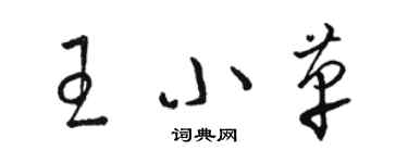 駱恆光王小革草書個性簽名怎么寫