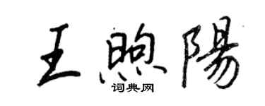 王正良王煦陽行書個性簽名怎么寫