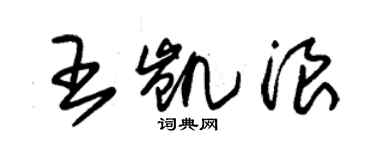 朱錫榮王凱浪草書個性簽名怎么寫