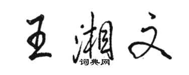 駱恆光王湘文行書個性簽名怎么寫