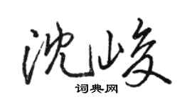 駱恆光沈峻行書個性簽名怎么寫