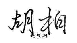 駱恆光胡柏行書個性簽名怎么寫