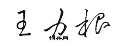 駱恆光王力根草書個性簽名怎么寫