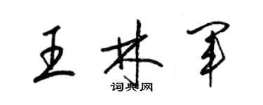 梁錦英王林軍草書個性簽名怎么寫