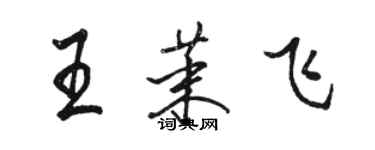 駱恆光王茉飛行書個性簽名怎么寫