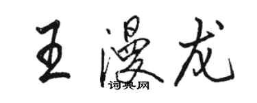 駱恆光王漫龍行書個性簽名怎么寫