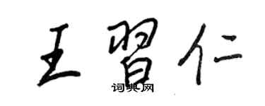 王正良王習仁行書個性簽名怎么寫