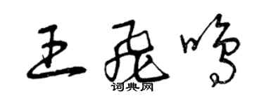 曾慶福王飛鳴草書個性簽名怎么寫