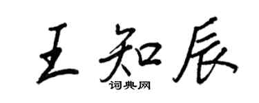 王正良王知辰行書個性簽名怎么寫