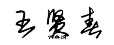 朱錫榮王賢春草書個性簽名怎么寫