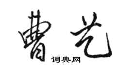 駱恆光曹藝行書個性簽名怎么寫