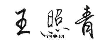 駱恆光王照青行書個性簽名怎么寫