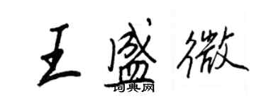 王正良王盛微行書個性簽名怎么寫