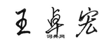 駱恆光王卓宏行書個性簽名怎么寫