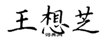 丁謙王想芝楷書個性簽名怎么寫