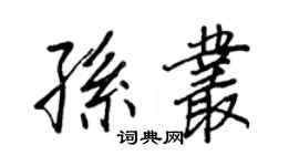 王正良孫叢行書個性簽名怎么寫