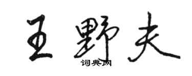 駱恆光王野夫行書個性簽名怎么寫