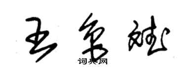 朱錫榮王魯斌草書個性簽名怎么寫