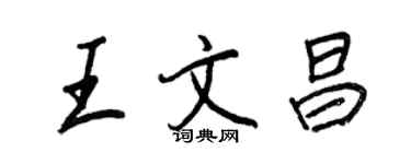 王正良王文昌行書個性簽名怎么寫