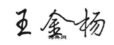 駱恆光王金楊行書個性簽名怎么寫