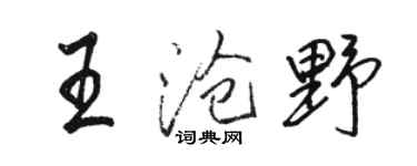 駱恆光王滄野行書個性簽名怎么寫