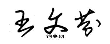 朱錫榮王文芬草書個性簽名怎么寫