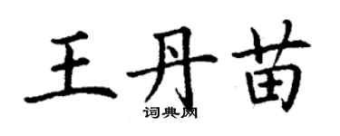 丁謙王丹苗楷書個性簽名怎么寫