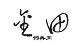 駱恆光金田草書個性簽名怎么寫