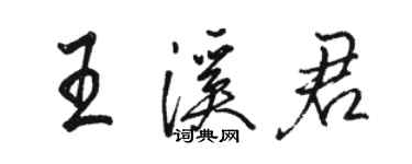 駱恆光王溪君行書個性簽名怎么寫