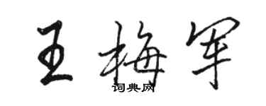 駱恆光王梅軍行書個性簽名怎么寫
