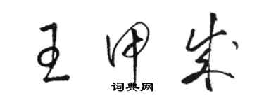 駱恆光王甲成草書個性簽名怎么寫