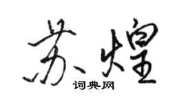 駱恆光蘇煌行書個性簽名怎么寫