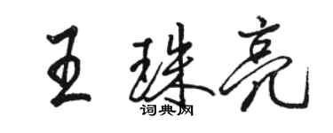 駱恆光王珠亮行書個性簽名怎么寫