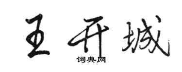 駱恆光王開城行書個性簽名怎么寫