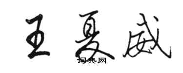 駱恆光王夏威行書個性簽名怎么寫