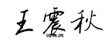 王正良王震秋行書個性簽名怎么寫