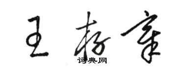 駱恆光王存章草書個性簽名怎么寫