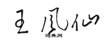 駱恆光王風仙草書個性簽名怎么寫