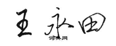駱恆光王永田行書個性簽名怎么寫