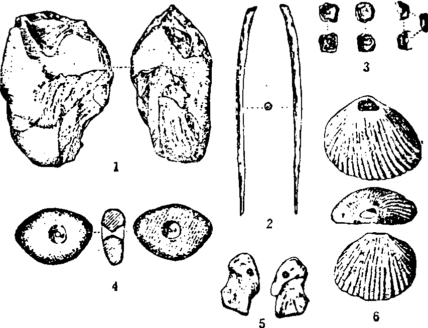 山頂洞人_山頂洞人介紹_歷史知識