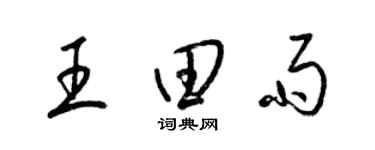 梁錦英王田雨草書個性簽名怎么寫