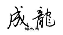 王正良成龍行書個性簽名怎么寫